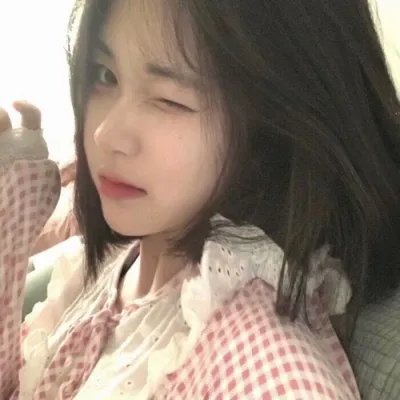 夏绿蒂的网